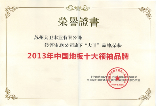 大衛(wèi)地板榮獲“2013年中國(guó)地板十大領(lǐng)袖品牌”.jpg